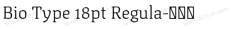 Bio Type 18pt Regula字体转换